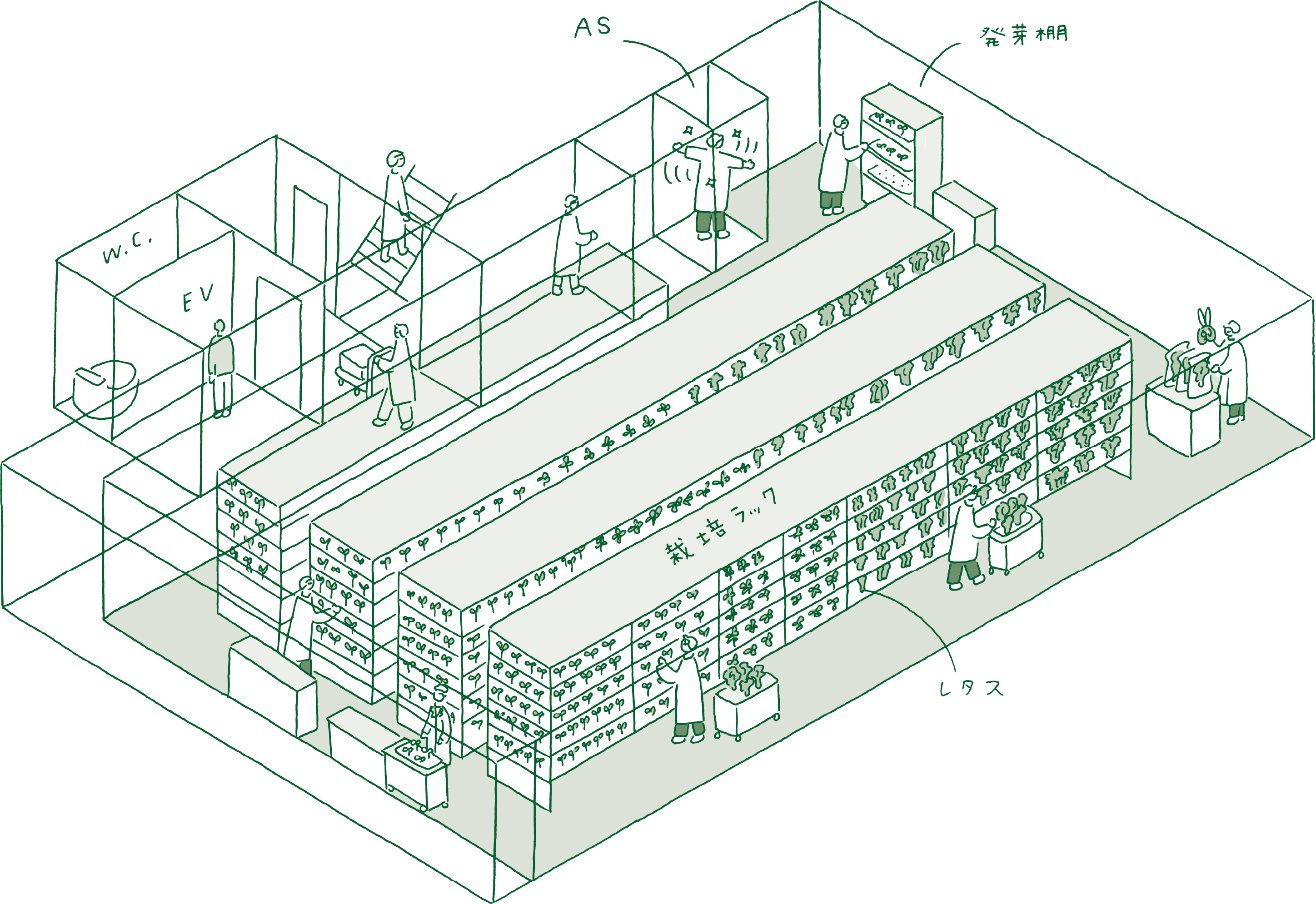 2F 3F Plant