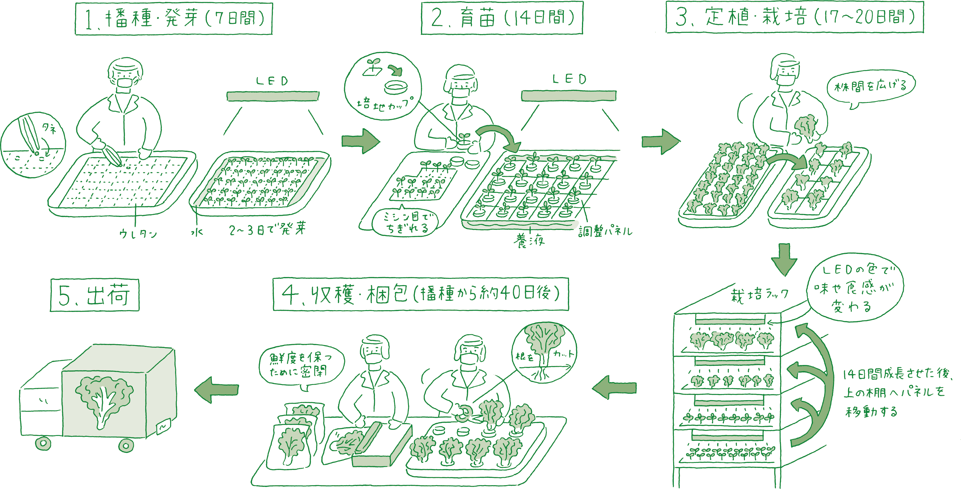 2F 3F Plant