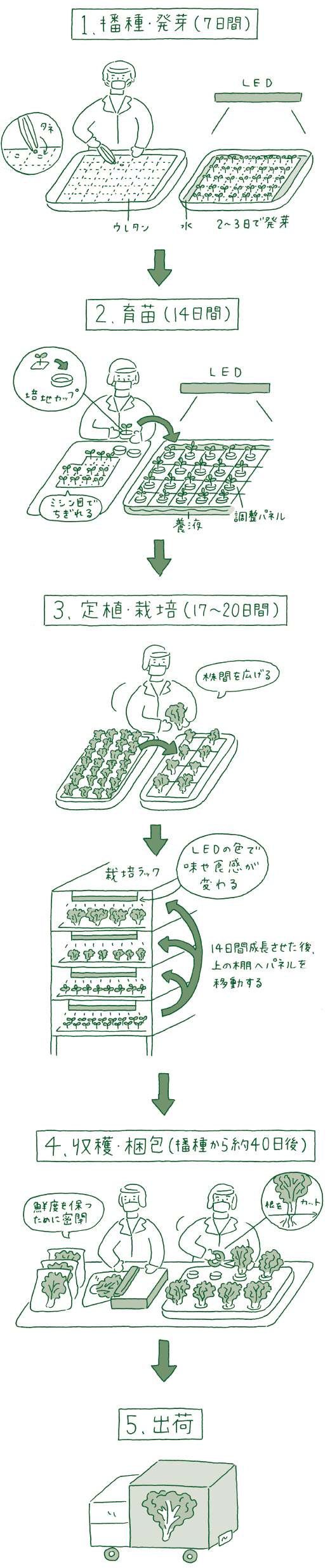 2F 3F Plant